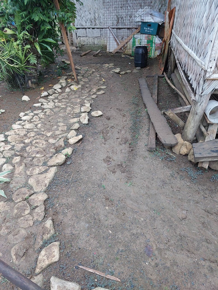 Unidentified Thieves