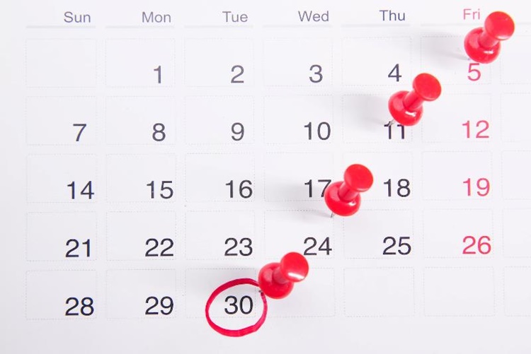 Long Weekends 2023