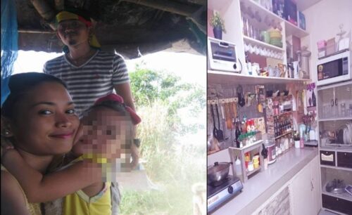 Inspiring House Husband