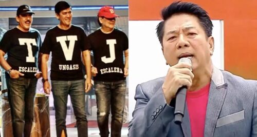 tvj willie revillame