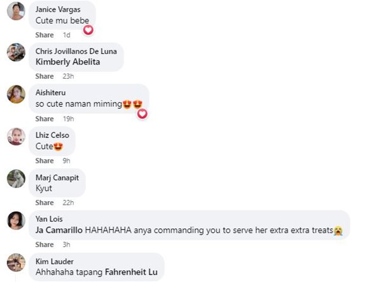 jake ejercito comments