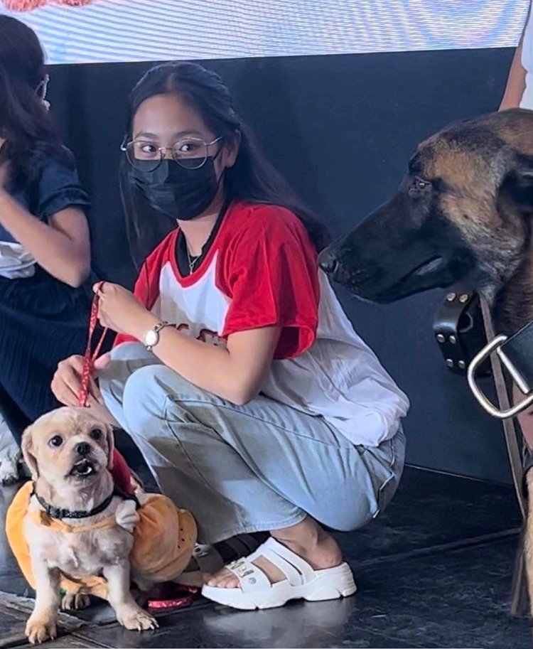 Beloved Furbaby's Reaction