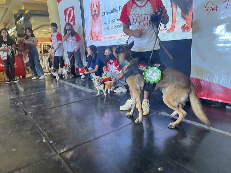 Beloved Furbaby's Reaction