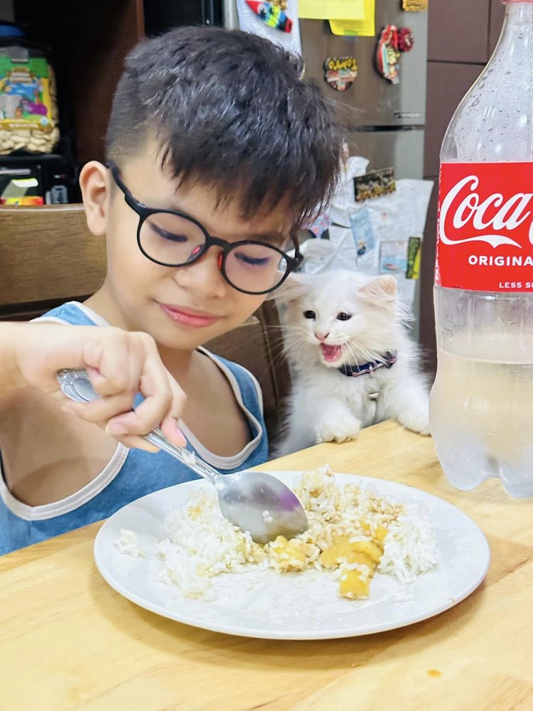 Funny Moment