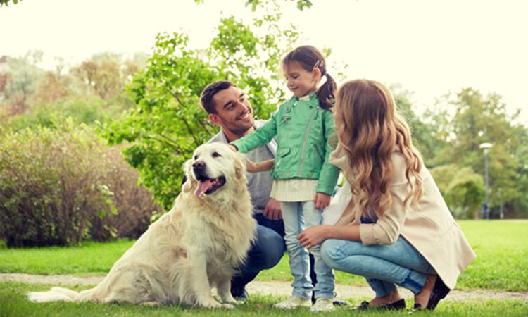 5-Best-Dog-Breeds 5-Best-Dog-Breeds