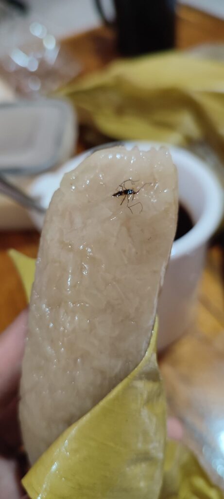 Mosquito