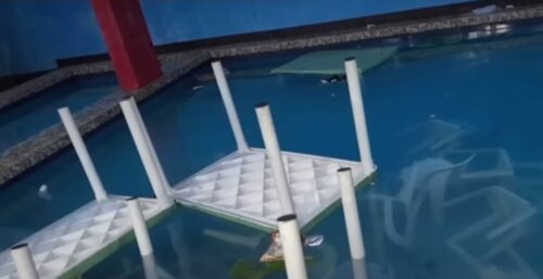 Disrespectful Guests