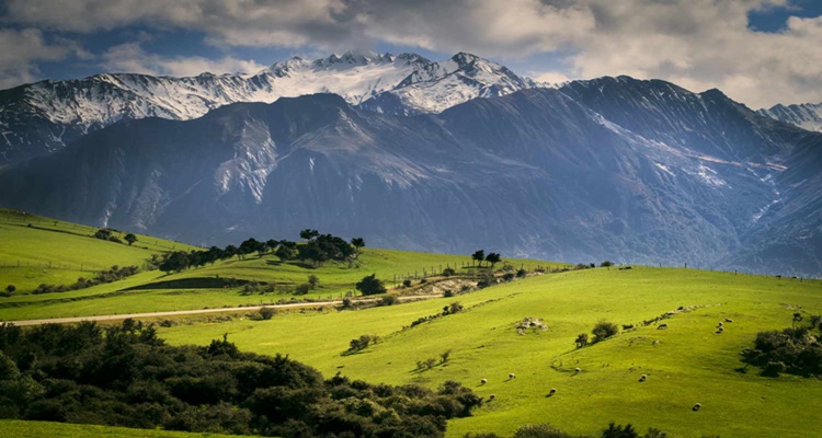 Requirements for New Zealand Visa Application for Visitors| PhilNews