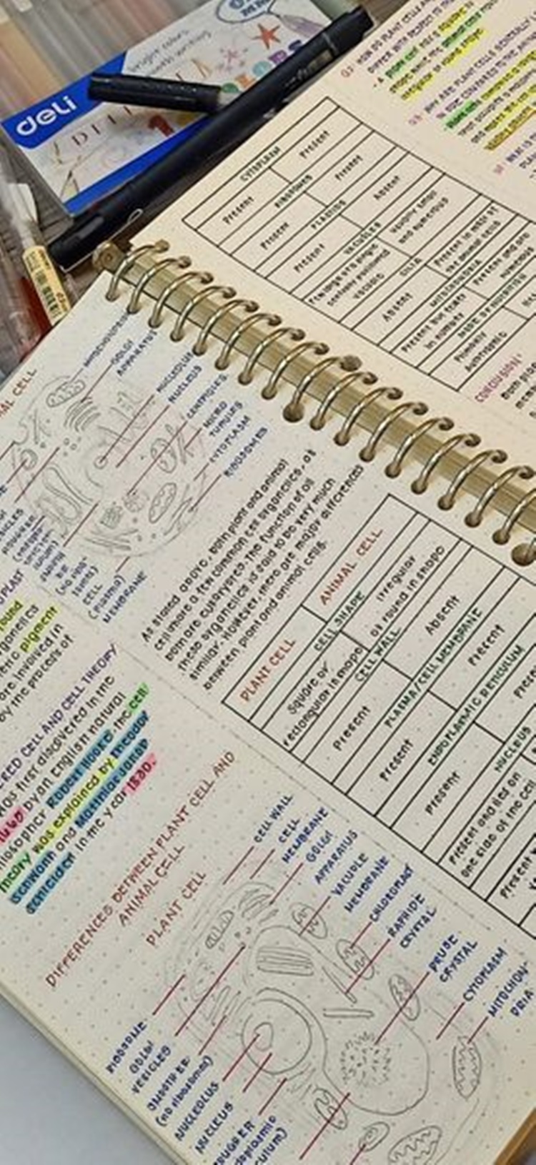 Grade 12 Student's Excellent Handwritten Lecture Notes Go Viral Online ...