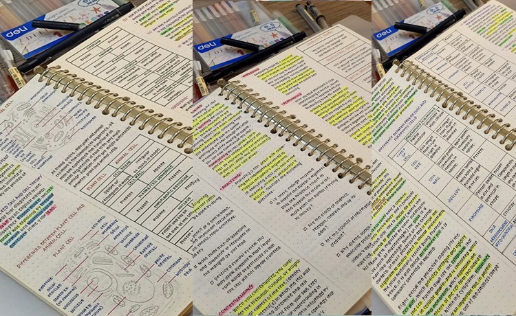 Grade 12 Student's Excellent Handwritten Lecture Notes Go Viral Online ...