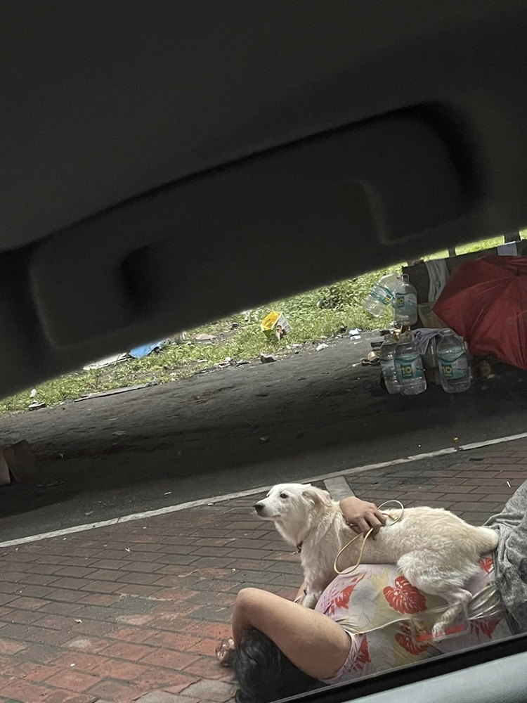Heartwarming Encounter