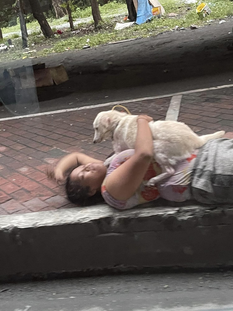 Heartwarming Encounter