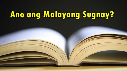 Ano Ang Malayang Sugnay