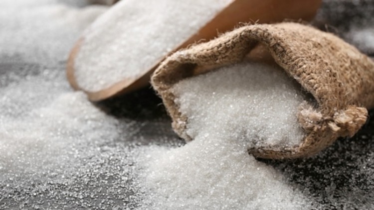 downtrend in sugar prices