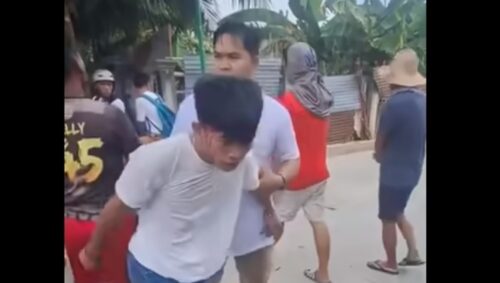 Intense Fist Fight