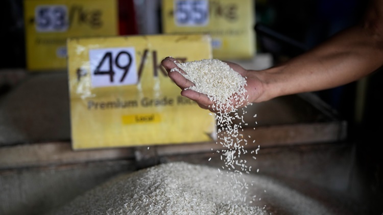 Rice