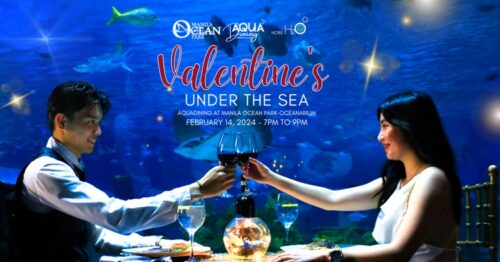 Manila Ocean Park Valentine's Under the Sea
