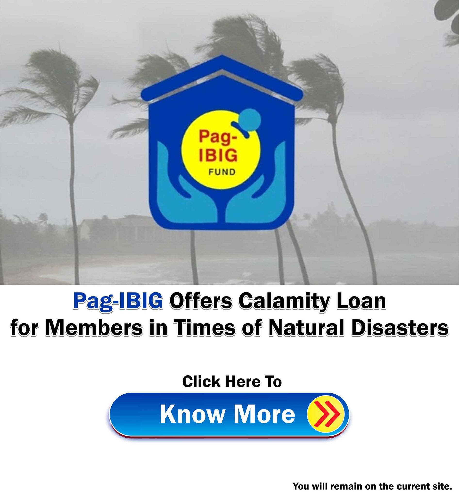 How To Apply for PagIBIG Calamity Loan Online 2024 PhilNews