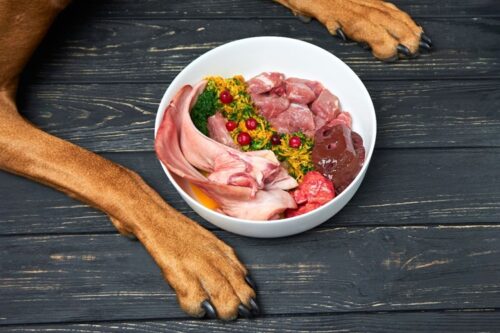 Raw Diet for Dogs