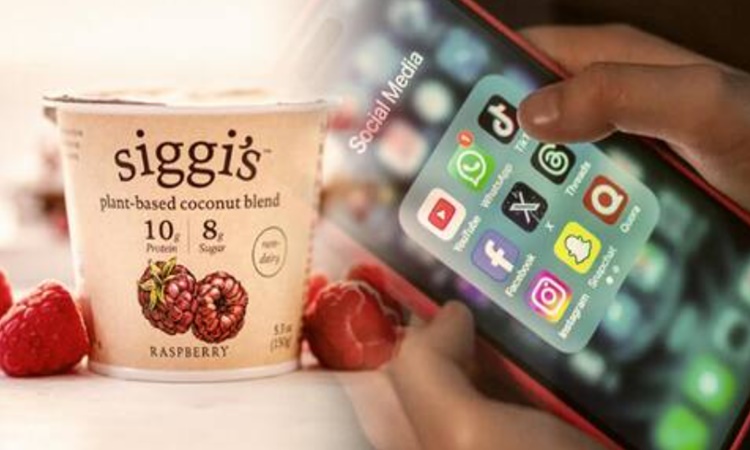 Siggi-YOGURT-COMPANY-CHALLENGE-Cellphone