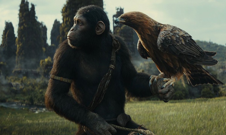 Kingdom-of-The-Planet-of-The-Apes