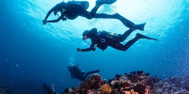 Philippines Diving Tourism Rakes In P73B, Nearly Doubling 2022 Income ...