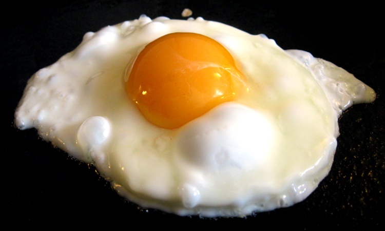 Protein-Foods-egg