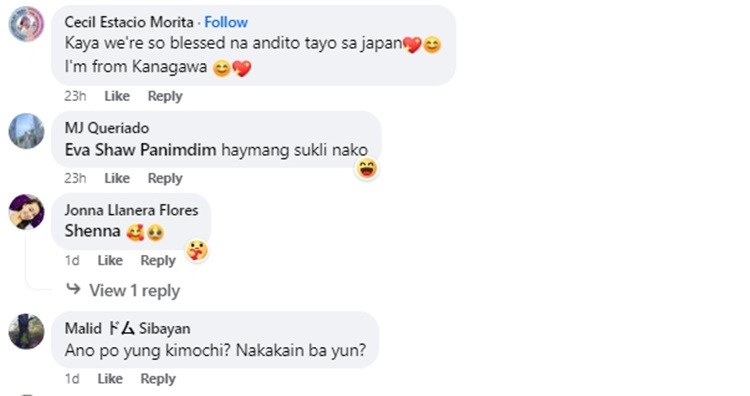 Pinay Netizen