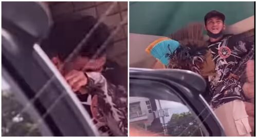 Hardworking Broom Vendor