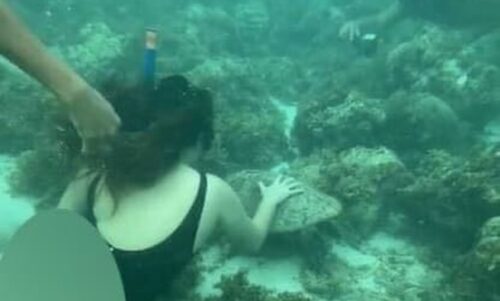 Moalboal Authorities