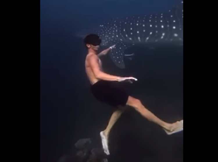 Group of Divers