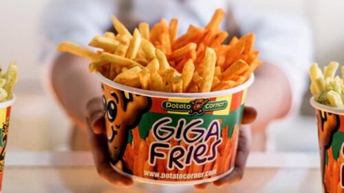 How Much Is Potato Corner Franchise