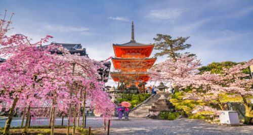 Japan Travel Guide