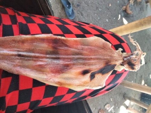 Dried Squid