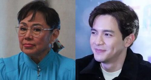 vilma santos alden richards