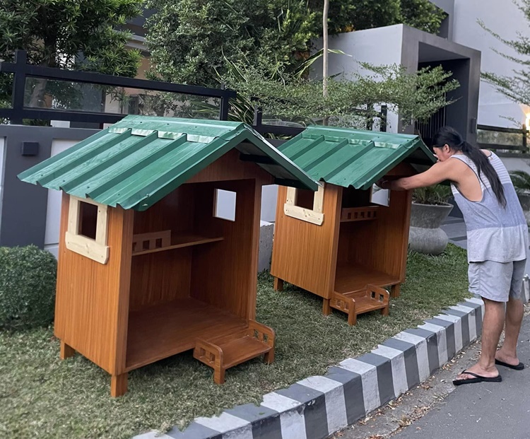 Stray Cats
