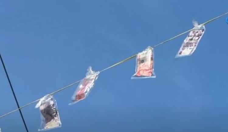 Money