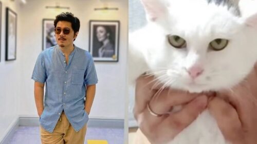 Janno Gibbs, Cat