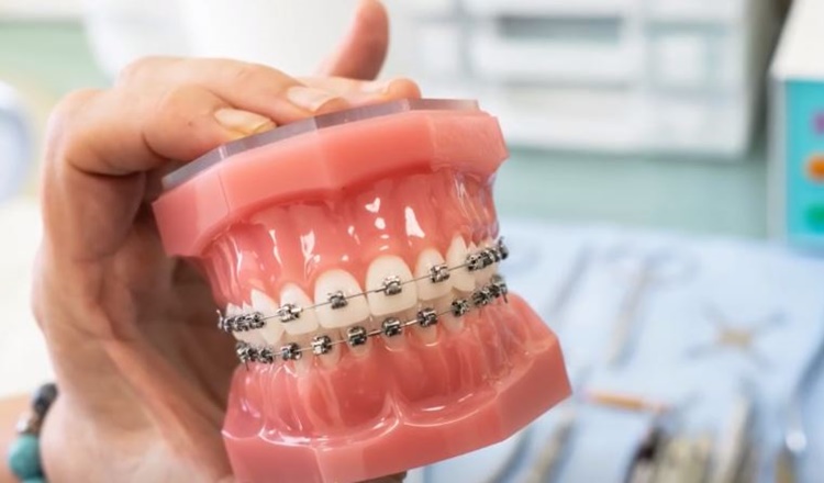 Dentist