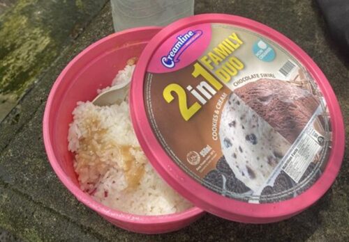 Ice Cream Container