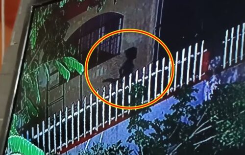 Alleged Supernatural Creature