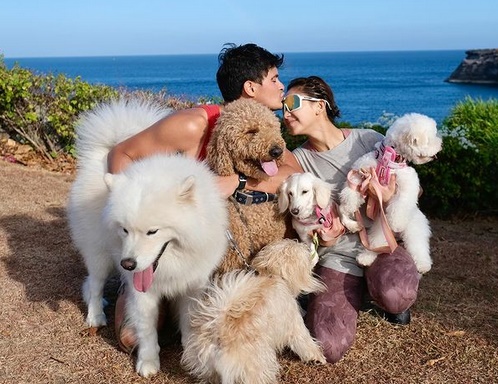 Sarah Geronimo, Matteo Guidicelli Dogs