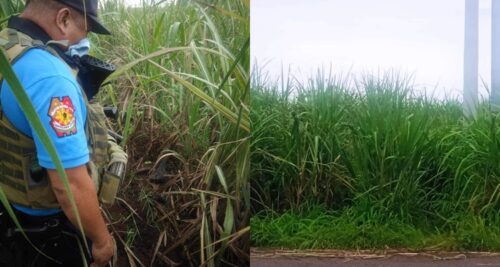 Skeletal Remains In Murcia