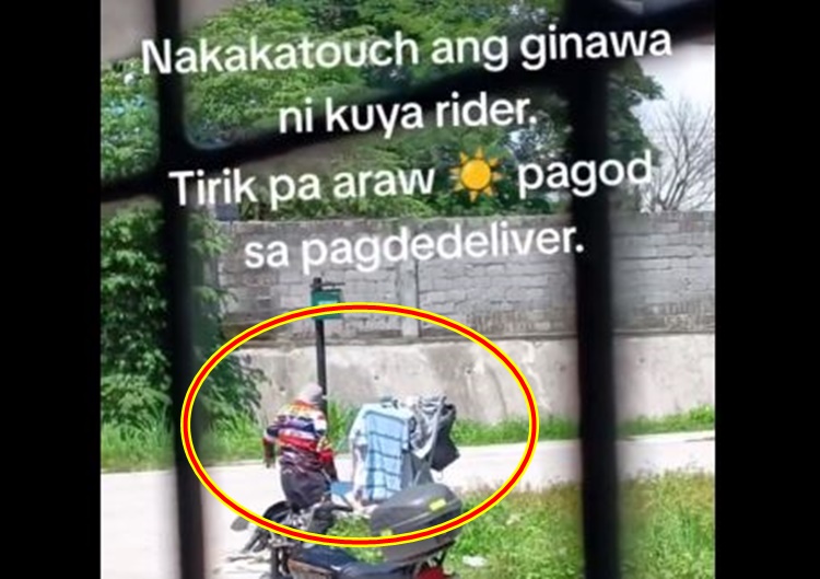 Kind-Hearted Rider