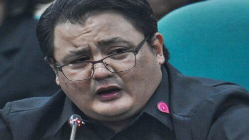 Niño Muhlach Senate Hearing