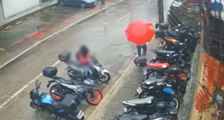 Motorcycle Thief