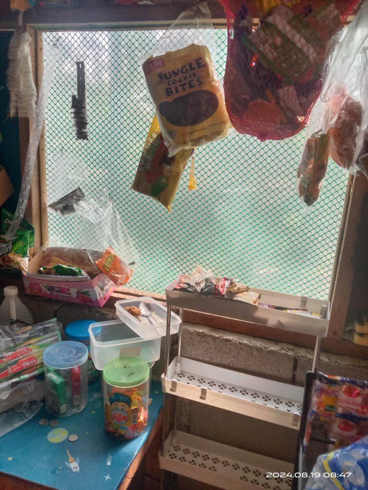 Sari-Sari Store Owner