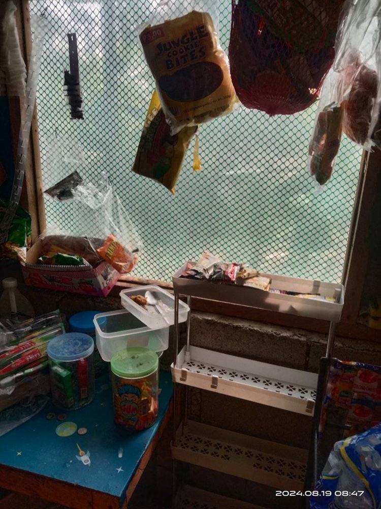 Sari-Sari Store Owner