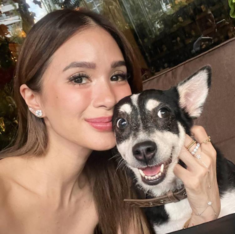 heart evangelista panda