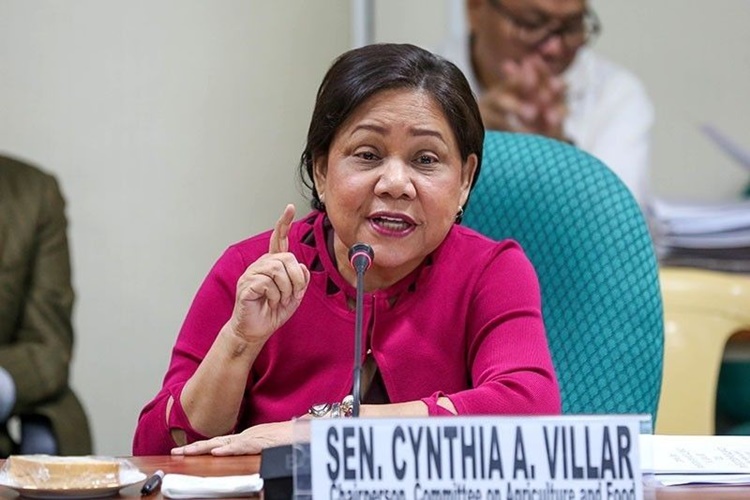 Cynthia Villar
